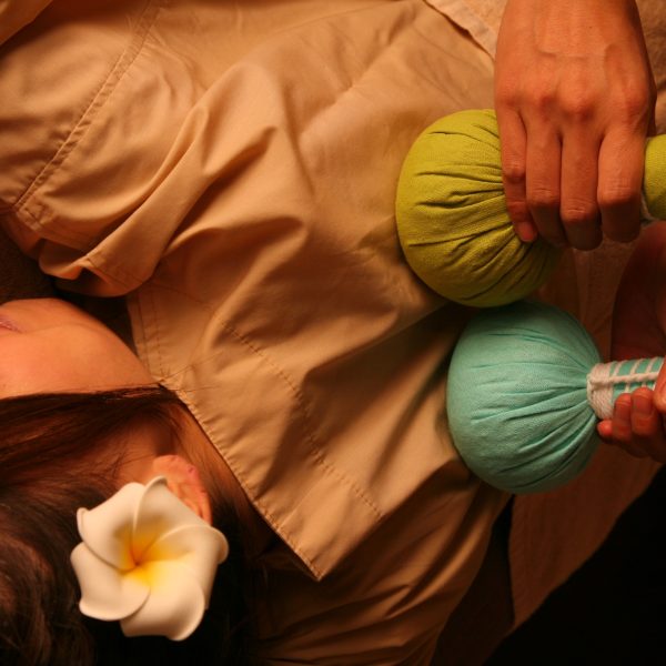 気づけば大寒を迎えるころとなりました 画像